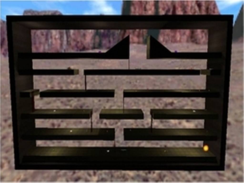 ant_farm