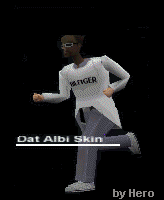 Albi