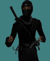 DGF_Ninja