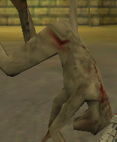 SN_Baboon