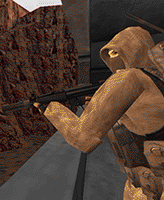 Scout53
