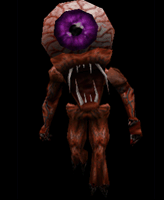 Skrag