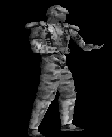 SnowMarine