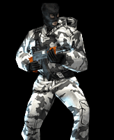 arctic