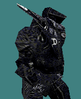 aswat_project_dohgy