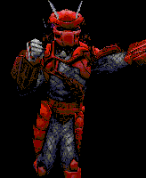 depredador_red