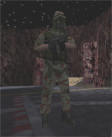 desert