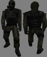 sas53