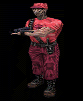 scout33