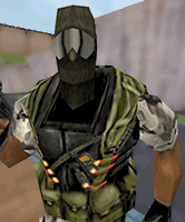 shotgun2
