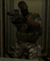 shotgun8