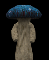 sieni