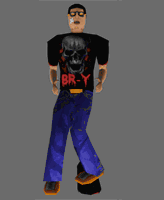 skateboarder