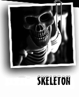skeleton7
