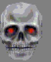 skeleton_hev