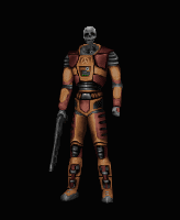 skeleton_hev1
