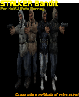 stalker_bandit4