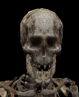 stalker_skeleton
